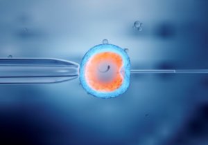 The IVF cycle deconstructed