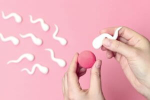 IUI vs. IVF - What's the difference?