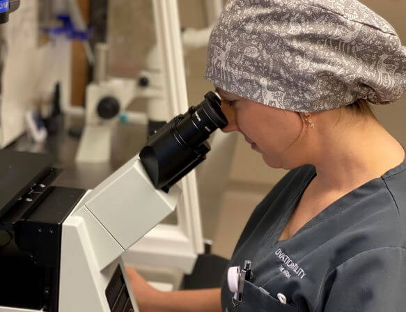 embryo genetic testing