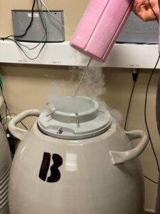 Embryologist checking liquid nitrogen levels in cryopreservation tanks