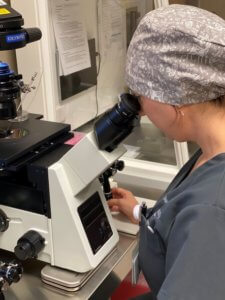 Embryologist using micromanipulation in the IVF lab