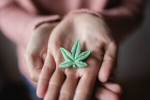 Marijuana and THC may affect female reproduction