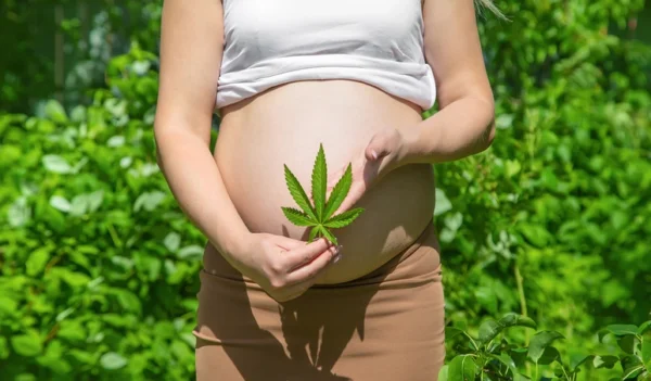 THC use during pregnancy
