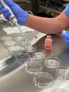 What happens to your embryos in the IVF lab?