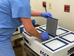 What happens to your embryos in the IVF lab?